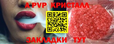стаф Кунгур