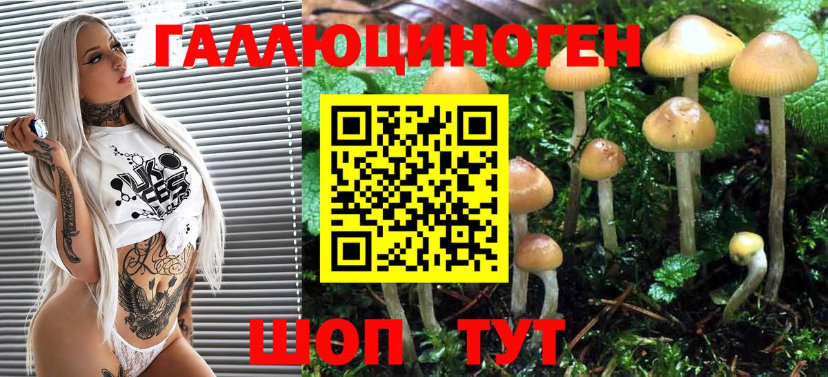 Псилоцибиновые грибы мухоморы Фурманов