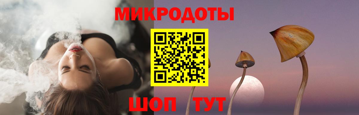 Псилоцибиновые грибы GOLDEN TEACHER  купить наркотик  Фурманов  Вход с VPN 